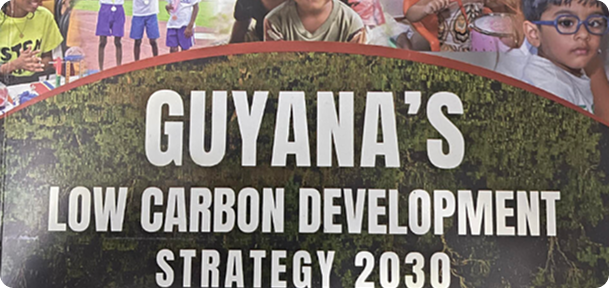 COP 28 in Dubai: Exploring Prospects for "Nature-Based Solutions" in the Global South